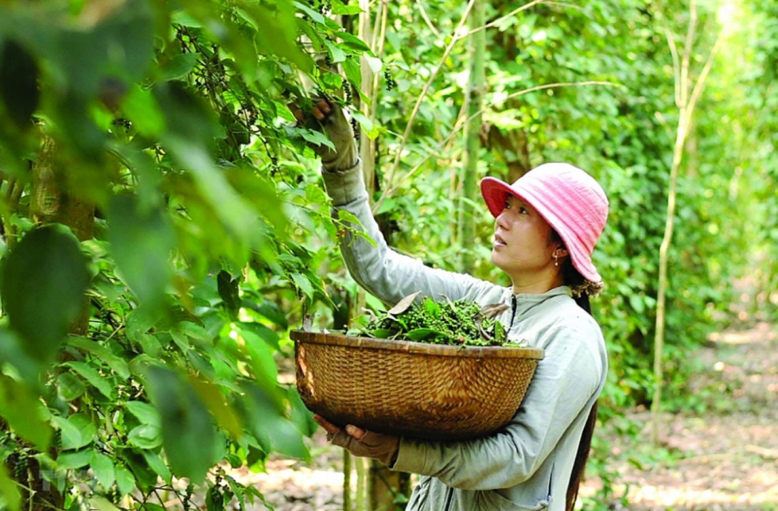 Câu chuyện thương hiệu