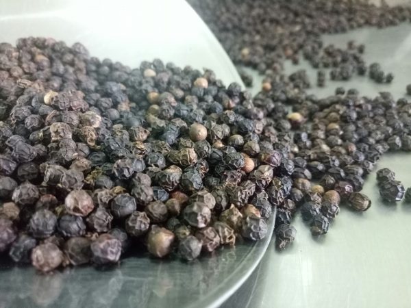BLACK PEPPER 570GL CLEANED, SC, MC, ASTA