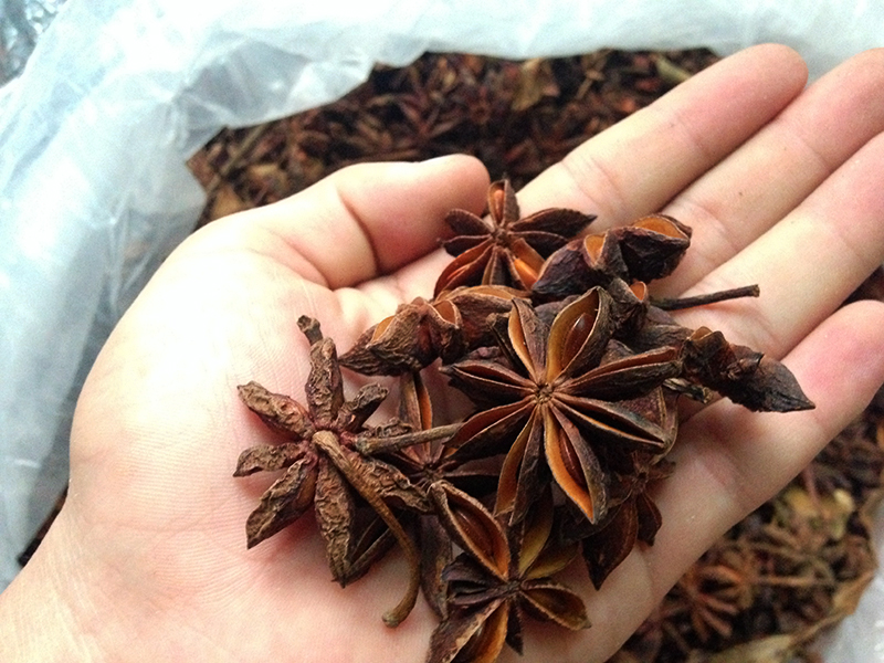 Hoa hồi là gì? Lợi ích của hoa hồi và những cách sử dụng hoa hồi